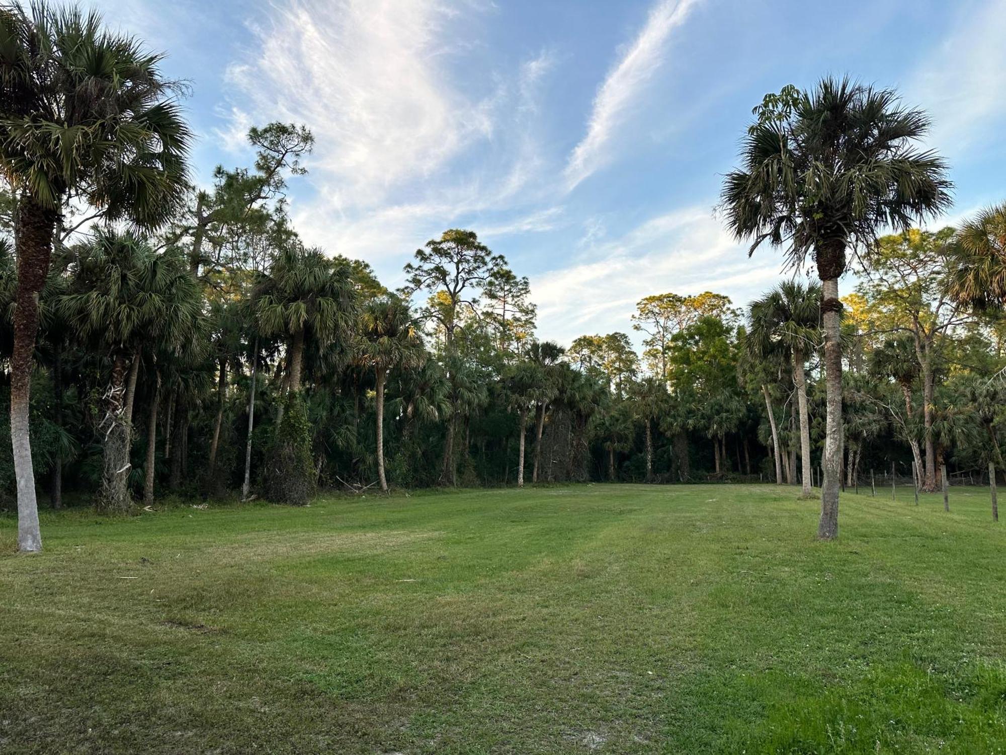 Vacation Pool Home In The Woods. North North Naples Esterno foto